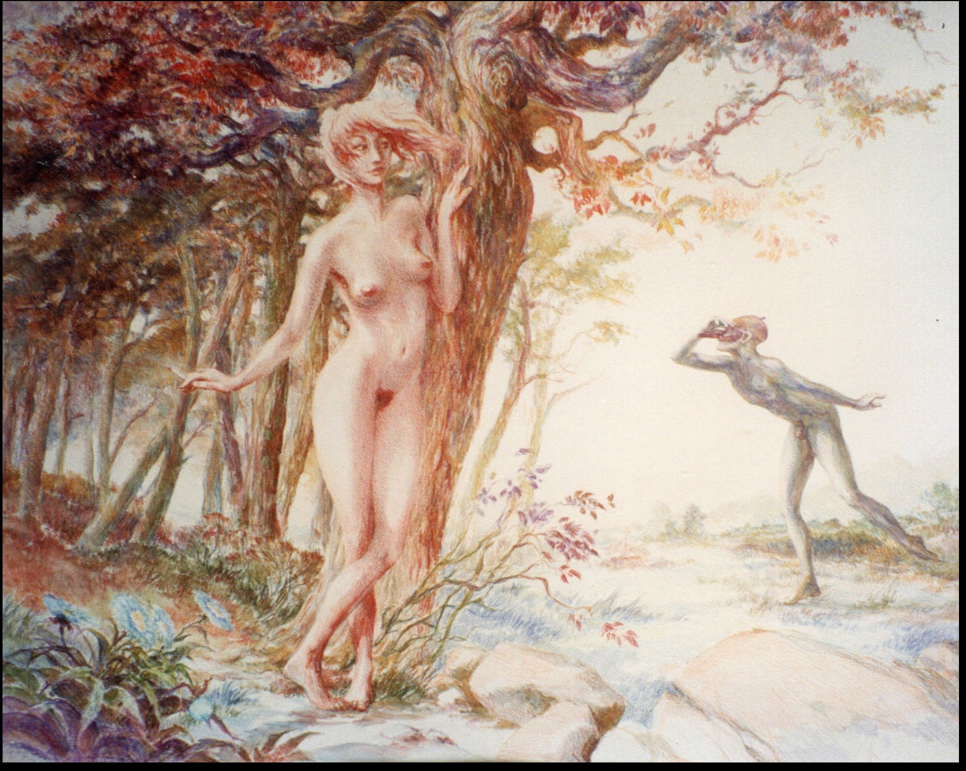 Cache-cache 61 x 75 cm 