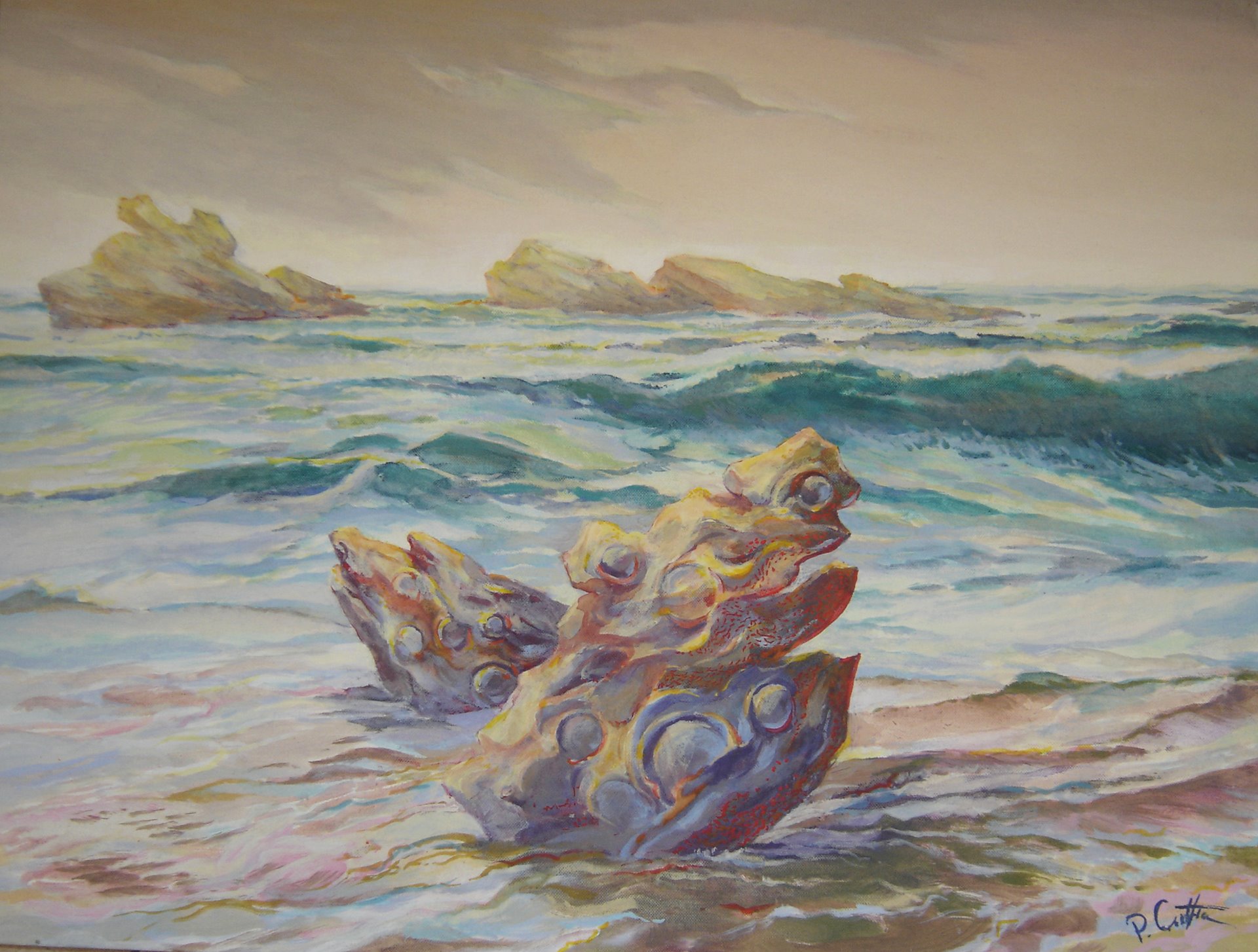 Vestiges côtiers 60 x 75 cm